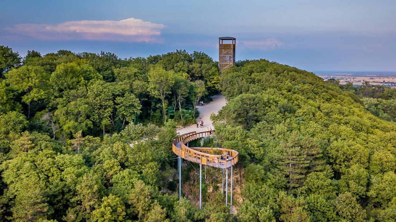 Panorama Birtok - Wellness Panzio, Konferencia Es Rendezvenykoezpont Bed and Breakfast Győrújbarát Exteriör bild